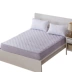 Giường, mảnh duy nhất Simmons bảo vệ bìa bông độn non-slip nệm bìa bụi che giường bìa 1.8 m đặc biệt cung cấp Ga phủ giường Trang bị Covers