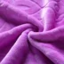 Giải trí chăn mặt bích clip sheets chăn san hô chăn đôi chần chăn chăn bông chăn mùa đông màu rắn