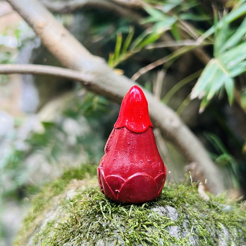 Генг Цин С. и Держ Экономический Институт Культурной Институт Далле Лотос Мастер Дома Маджья Лизао Статуя