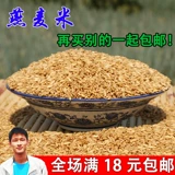 Wang Xiaoshuai высококачественный овсяный рис овсяной овся