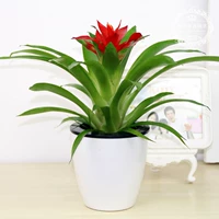 Удачи (ленивый бассейн)