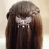 Top clip nhỏ rhinestone kẹp tóc mùa xuân clip cung Hàn Quốc hoang dã nữ thẻ tóc bắt clip trang sức đầu