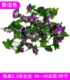 Фиолетовая -Королевая Little Rose Vine 1 Pack 2 цена