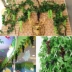 Trang trí hoa giả nhựa hoa quả mô hình đạo cụ trang trí trái cây nhựa mô phỏng nho - Hoa nhân tạo / Cây / Trái cây