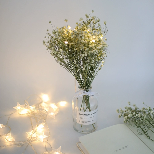 Nordic Ins сушеные цветочные бутылки Вечные цветочные муминовые листеры Yugali Вставьте цветы маленькие свежие украшения домашние украшения