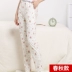 Quần cotton pyjama quần nữ mùa hè eo cao lỏng lẻo tháng nhà có thể mặc bên ngoài cỡ lớn cotton mỏng phần quần nhà mùa xuân và mùa thu Quần tây