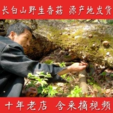 Сухое грибы сухие грибы вручную выберите северо -восточные специальные продукты сухие товары.