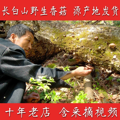 Сухое грибы сухие грибы вручную выберите северо -восточные специальные продукты сухие товары.