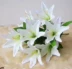 Lễ hội Qingming hoa cúc trắng mô phỏng hoa hồng quét mộ khô hoa giả đặt hoa đặc biệt - Hoa nhân tạo / Cây / Trái cây lan giả Hoa nhân tạo / Cây / Trái cây
