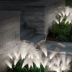 đèn led sợi quang cây sậy cỏ nhiều màu sắc đơn giản năng lượng mặt trời đèn sân vườn ngoài trời không thấm nước chiếu sáng cảnh quan đèn trang trí đèn trang trí sân vườn năng lượng mặt trời đèn solar sân vườn 