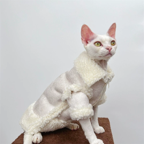 Восемь -летняя магазин шесть размеров безволосочной одежды для кошачьего сафакса в зимней сгущенной коже оленя кожа.