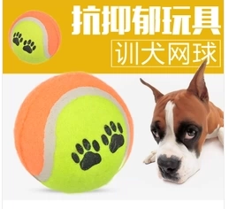 Игрушка для домашних животных, поставки для тренировок с теннисными собаками, измельчение зубов, патрулирование мяча, золотая лихта, маленькая собака Tedsamier