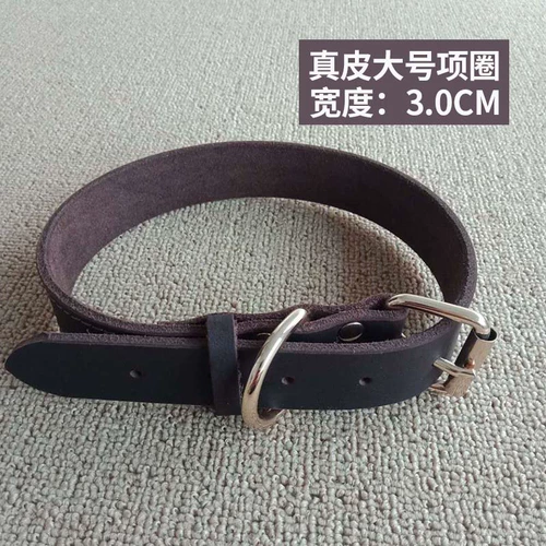 Темплохимическое кольцо собака средняя маленькая большая большая собачья кружковая шея кружок Педань Собаки Собаки, Золотые волосы на шейке