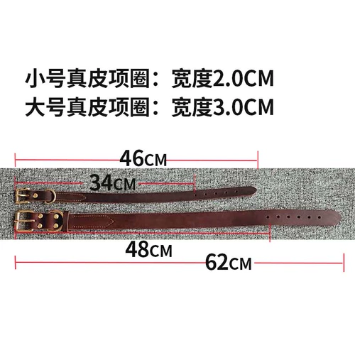 Темплохимическое кольцо собака средняя маленькая большая большая собачья кружковая шея кружок Педань Собаки Собаки, Золотые волосы на шейке