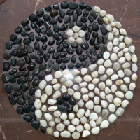 50 диаметров прозрачных секретных моделей Tai Chi