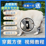 Перелома ноги собаки Фиксированная коррекция с шипами для питомца.