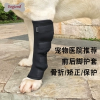 Перелома ноги собаки собаки, исправляя фиксированную коррекцию с фиксированной передней и задней ногой, противоречивая крышка ноги