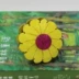 [3 包邮] Hải Nam dừa vỏ cổ tay túi Sun Flower Purse túi chìa khóa trẻ em người lớn túi Ví tiền