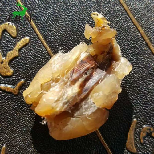 Бесплатная доставка 10 грамм снежного моллюска