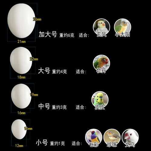10 бесплатных имитаций поддельных яиц, птиц, попугаев, поддельных твердых яиц, жемчуга, птичьей кожи, пионов, яиц черного феникса, свинцовых яиц