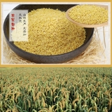 Долина Shell -Wally xiaomi Bird Pearl Bird Pippi Peony Xuan Phoenix Parrot птицы пища пища пищу желтые Xiaomi 450g