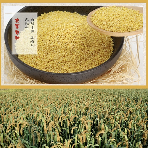 Долина Shell -Wally xiaomi Bird Pearl Bird Pippi Peony Xuan Phoenix Parrot птицы пища пища пищу желтые Xiaomi 450g