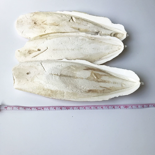 Кальциевая добавка каравиц костяная розовая черепаха кальциевая добавка Птицы, добавка кальция, яйцо, яйцо, мягкая раковина