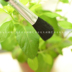 Thịt làm sạch bàn chải lá chổi quét bụi cây cọ đặc biệt bàn chải mềm bàn chải làm vườn cung cấp thịt công cụ bàn chải nhỏ dụng cụ làm vườn Nguồn cung cấp vườn