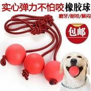 Dog Cat Golden Retriever Cao su cắn rắn Bouncy Ball Rope Bouncy Ball Đào tạo Đồ chơi thú cưng vui nhộn