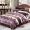 Falais bốn mảnh dày flannel pha lê flannel tấm giường 1,5m1,8 m lông cừu san hô hai mặt - Bộ đồ giường bốn mảnh