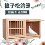 Продукты голубя/голубь гнездо/коробку с голубями для сочета