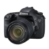 Canon EOS 7D kit độc lập Máy ảnh kỹ thuật số HD dành cho máy ảnh gia đình - SLR kỹ thuật số chuyên nghiệp