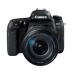 Máy ảnh chụp ảnh du lịch kỹ thuật số HD chuyên nghiệp dành cho nữ 77D của Canon 77D máy ảnh SLR kỹ thuật số chuyên nghiệp