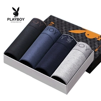 Playboy Nam Đồ Lót Nam Boxer Quần Cotton 100% Cotton Cotton Thanh Niên Triều Breathable Boxer Head quần chip nam