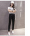 Mùa xuân và mùa hè quần harem chuyên nghiệp 溥 đàn hồi eo OL phù hợp với màu đen quần kích thước lớn feet quần âu phụ nữ quần tây baggy Quần Harem