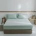 Đồng bằng Nhật Bản đơn giản màu bông rửa giường bông 笠 Simmons nệm tấm bông đơn - Trang bị Covers ga chun trải giường	 Trang bị Covers