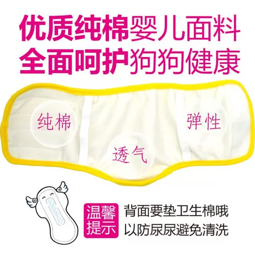 Физиологические штаны для собак, собаки, анти -урок, преследование и преследование подгузничного подгузника во время периода