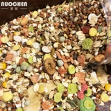 Nuochen Hamster Основное зерно питание зерновые фрукты и овощные праздники Любовь маленькие домашние принадлежности для многопрофильной доставки.