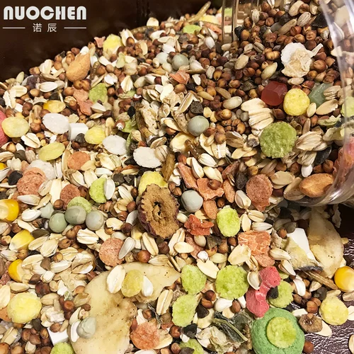 Nuochen Hamster Основное зерно питание зерновые фрукты и овощные праздники Любовь маленькие домашние принадлежности для многопрофильной доставки.