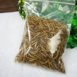 80G Self -Seal Bag -хрустящая и перорально, хлеб, сушеный желтый порошок червя