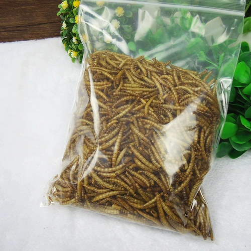 80G Self -Seal Bag -хрустящая и перорально, хлеб, сушеный желтый порошок червя