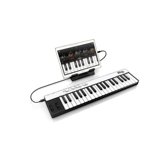 [Shinpu Electric Sound] IK Multimedia IRIG клавиша