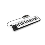 [Shinpu Electric Sound] IK Multimedia IRIG клавиша