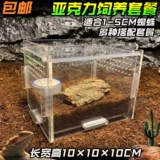 10 см маленькая ящик для разведения домашних животных yayli reptile box spider 蜈 ящик для размножения
