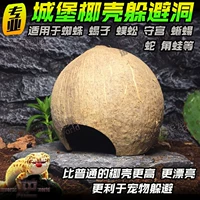 Кокосовые кокосовые ракушки уклоняются от пещеры кокосовой кокосовой ракушка Shougong Palace Spider Scorpion Pets
