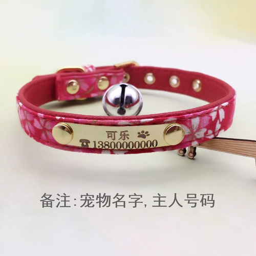 Индивидуальное индивидуальное законодательство о чрезвычайных ситуациях на индивидуальном виде, чем медведь, собачья собака собака.