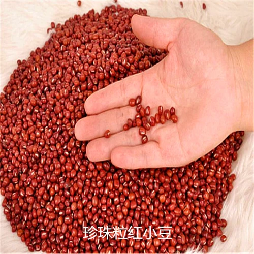 Красный Xiaodou 2023 Новые товары Небольшие зерна красная фасоль не -красная фасоль Красная фасоль Красная фасоль и зерновые фермеры производили 250 граммов