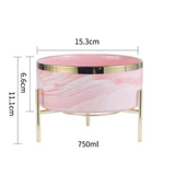 INS MARBLE PATTER CERAMIC CAT BOWN CAT FOOD POT CAT CAT MOWER с домашним мисками вода чаша воды и высокая деревянная полка для защиты шейного отдела позвоночника