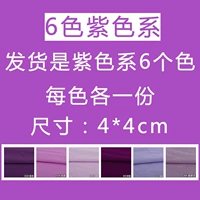 Фиолетовый 6 цветов (4*4 см)