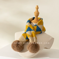 【2004】 -A Blue and Yellow Hair Ball Model